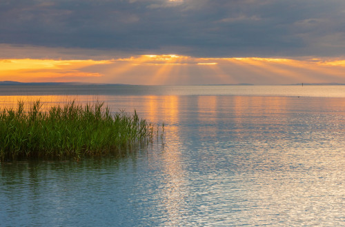 Rohrspitz am Bodensee